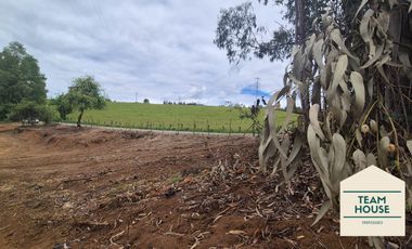 Cayumapu, Orilla de Río, 10.400 Mts2