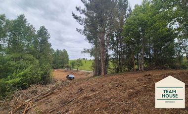 Cayumapu, Orilla de Río, 10.400 Mts2