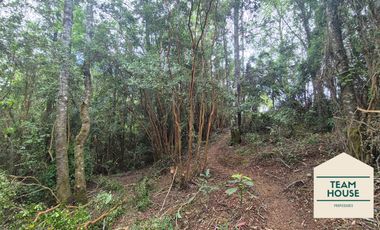Cayumapu, Orilla de Río, 10.400 Mts2