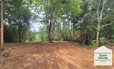 Cayumapu, Orilla de Río, 10.400 Mts2