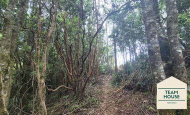 Cayumapu, Orilla de Río, 10.400 Mts2