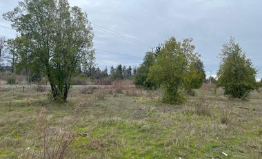 INCREIBLES PARCELAS  DE 5.000 M2 URBANIZADAS Y ACCESO A RÍO