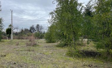 INCREIBLES PARCELAS  DE 5.000 M2 URBANIZADAS Y ACCESO A RÍO