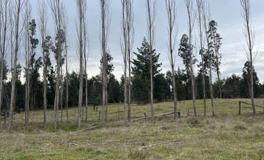 INCREIBLES PARCELAS  DE 5.000 M2 URBANIZADAS Y ACCESO A RÍO