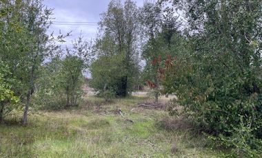 INCREIBLES PARCELAS  DE 5.000 M2 URBANIZADAS Y ACCESO A RÍO