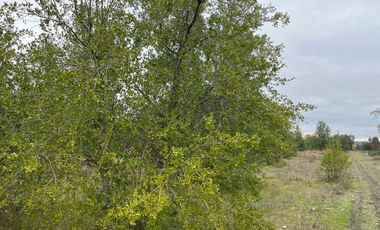 INCREIBLES PARCELAS  DE 5.000 M2 URBANIZADAS Y ACCESO A RÍO