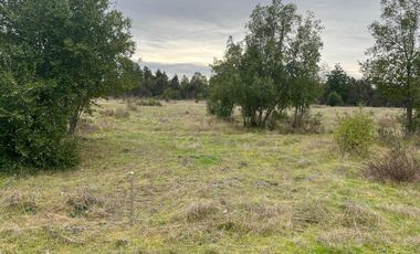 INCREIBLES PARCELAS  DE 5.000 M2 URBANIZADAS Y ACCESO A RÍO