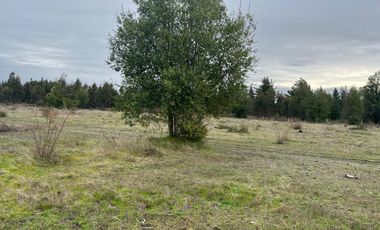 INCREIBLES PARCELAS  DE 5.000 M2 URBANIZADAS Y ACCESO A RÍO
