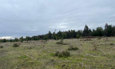 INCREIBLES PARCELAS  DE 5.000 M2 URBANIZADAS Y ACCESO A RÍO