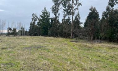 INCREIBLES PARCELAS  DE 5.000 M2 URBANIZADAS Y ACCESO A RÍO