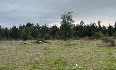 INCREIBLES PARCELAS  DE 5.000 M2 URBANIZADAS Y ACCESO A RÍO