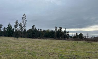INCREIBLES PARCELAS  DE 5.000 M2 URBANIZADAS Y ACCESO A RÍO