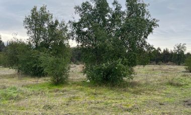 INCREIBLES PARCELAS  DE 5.000 M2 URBANIZADAS Y ACCESO A RÍO