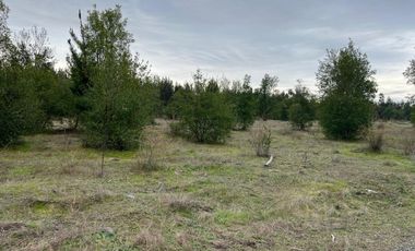 INCREIBLES PARCELAS  DE 5.000 M2 URBANIZADAS Y ACCESO A RÍO