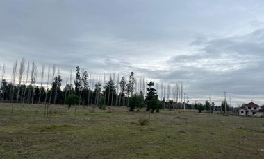 INCREIBLES PARCELAS  DE 5.000 M2 URBANIZADAS Y ACCESO A RÍO