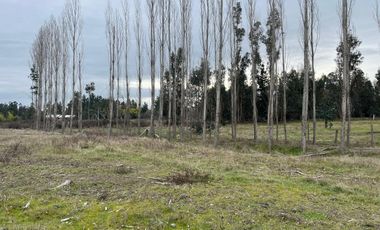 INCREIBLES PARCELAS  DE 5.000 M2 URBANIZADAS Y ACCESO A RÍO