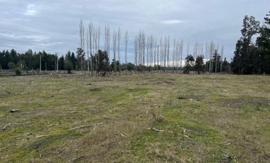 INCREIBLES PARCELAS  DE 5.000 M2 URBANIZADAS Y ACCESO A RÍO