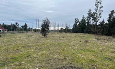 INCREIBLES PARCELAS  DE 5.000 M2 URBANIZADAS Y ACCESO A RÍO