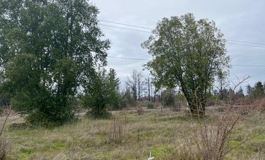 INCREIBLES PARCELAS  DE 5.000 M2 URBANIZADAS Y ACCESO A RÍO