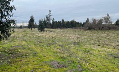 INCREIBLES PARCELAS  DE 5.000 M2 URBANIZADAS Y ACCESO A RÍO