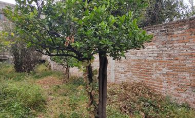 Terreno en Venta en Calle Aquiles Serdán, Centro, San Juan del Río, Querétaro.