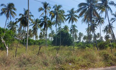 Terrenos en Venta en La Unión 2a Secc