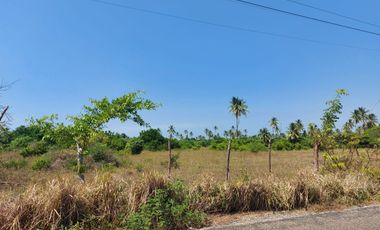 Terrenos en Venta en La Unión 2a Secc