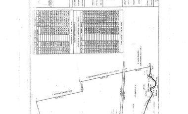 Terrenos en Venta en La Unión 2a Secc