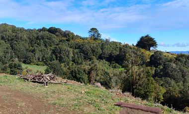 Se arrienda hermosa casa en Ancud