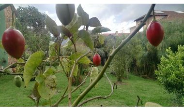 Casa conjunto Chia en Venta LA BALSA