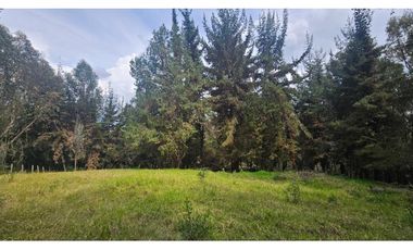 VENTA LOTE CONJUNTO CAMPESTRE COGUA CUNDINAMARCA