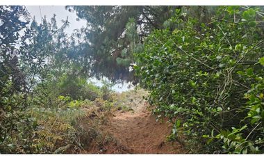 VENTA LOTE CONJUNTO CAMPESTRE COGUA CUNDINAMARCA