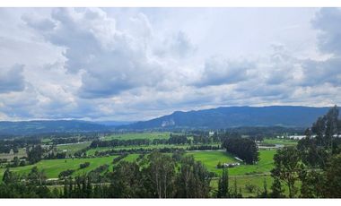 VENTA LOTE CONJUNTO CAMPESTRE COGUA CUNDINAMARCA