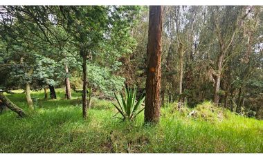 VENTA LOTE CONJUNTO CAMPESTRE COGUA CUNDINAMARCA