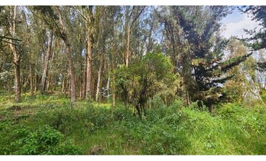 VENTA LOTE CONJUNTO CAMPESTRE COGUA CUNDINAMARCA