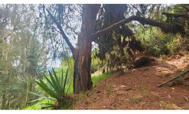 VENTA LOTE CONJUNTO CAMPESTRE COGUA CUNDINAMARCA