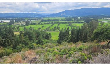 VENTA LOTE CONJUNTO CAMPESTRE COGUA CUNDINAMARCA