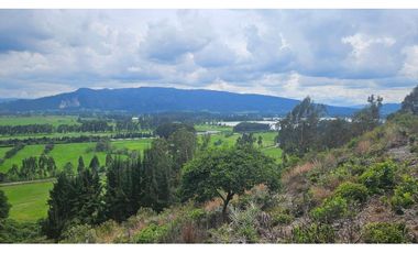 VENTA LOTE CONJUNTO CAMPESTRE COGUA CUNDINAMARCA