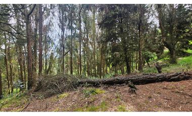 VENTA LOTE CONJUNTO CAMPESTRE COGUA CUNDINAMARCA