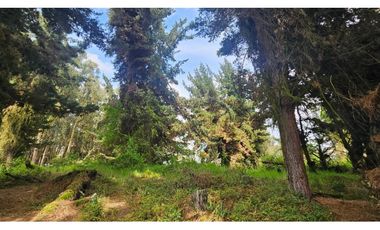 VENTA LOTE CONJUNTO CAMPESTRE COGUA CUNDINAMARCA