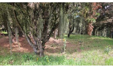 VENTA LOTE CONJUNTO CAMPESTRE COGUA CUNDINAMARCA