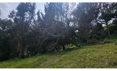 VENTA LOTE CONJUNTO CAMPESTRE COGUA CUNDINAMARCA