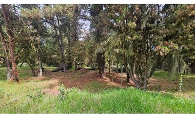 VENTA LOTE CONJUNTO CAMPESTRE COGUA CUNDINAMARCA