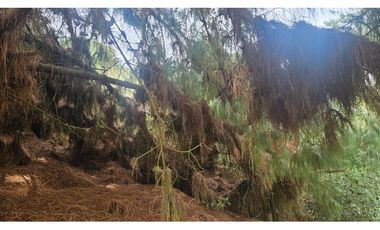 VENTA LOTE CONJUNTO CAMPESTRE COGUA CUNDINAMARCA