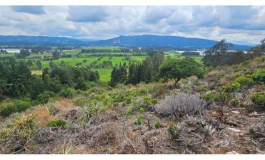 VENTA LOTE CONJUNTO CAMPESTRE COGUA CUNDINAMARCA