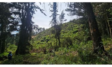 VENTA LOTE CONJUNTO CAMPESTRE COGUA CUNDINAMARCA