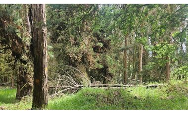 VENTA LOTE CONJUNTO CAMPESTRE COGUA CUNDINAMARCA