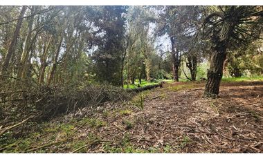 VENTA LOTE CONJUNTO CAMPESTRE COGUA CUNDINAMARCA