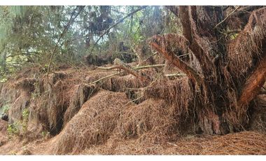 VENTA LOTE CONJUNTO CAMPESTRE COGUA CUNDINAMARCA