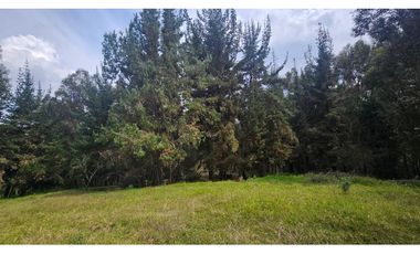 VENTA LOTE CONJUNTO CAMPESTRE COGUA CUNDINAMARCA